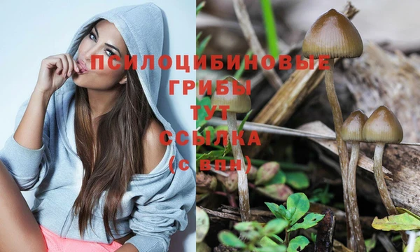 дурь Алзамай