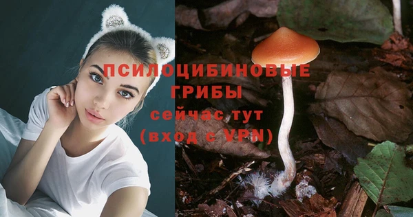 гидра Нефтекумск